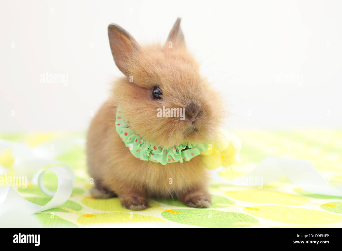 Mini bonds hi-res stock photography and images - Alamy