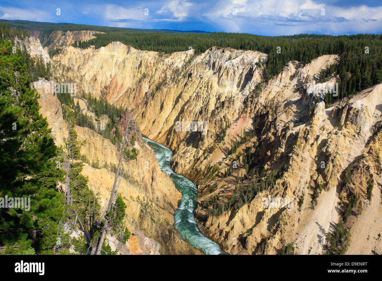 Grand Canyon of Yellowstone seen from rim of cliffs near trailhead to brink of Lower Falls on stormy summer evening Stock Photo