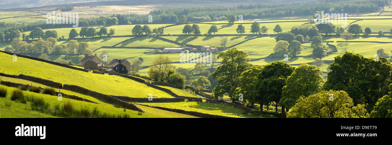 Panoramic view of lower Wharfedale from Howgill in springtime. Stock Photo