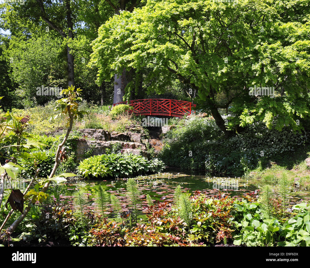 Tranquil scene with Lily pond and Japanese bridge Stock Photo