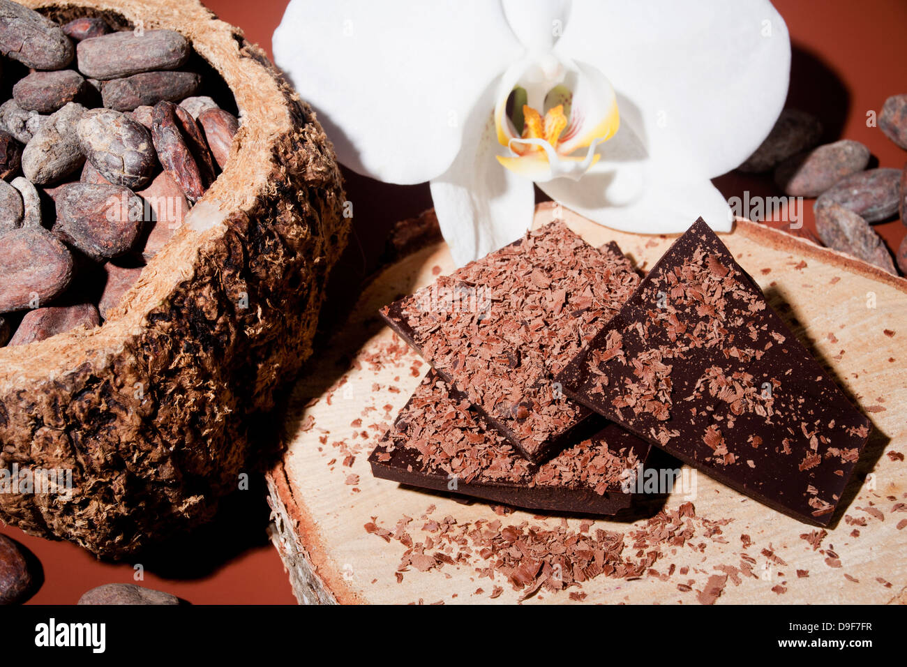 Cacao beans with chocolate and an orchid, Cocoa beans and chocolate and in orchid Stock Photo