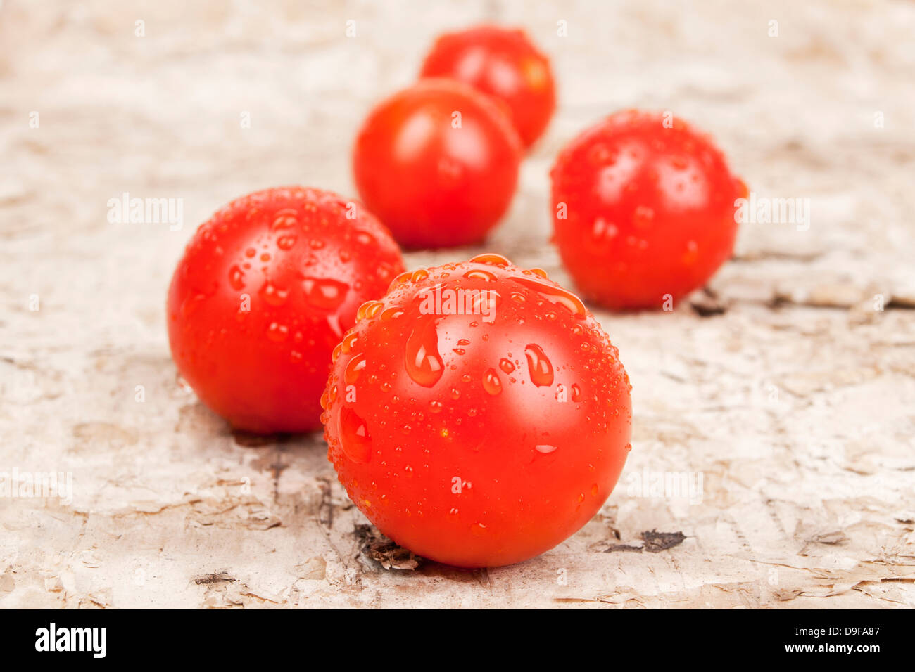 Cocktail tomatoes cherry Tomatoes Stock Photo