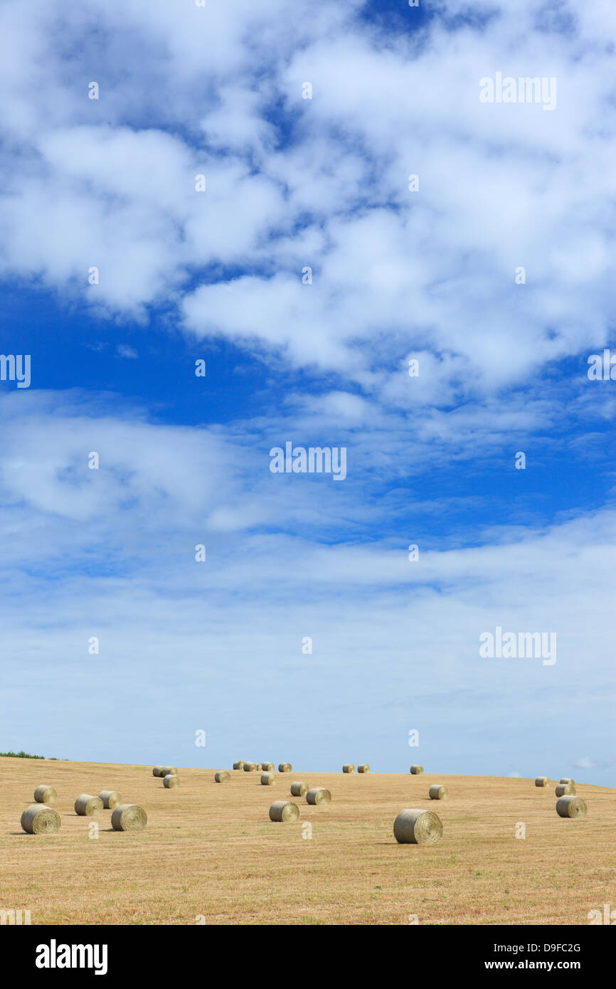 Field with bales of hay and blue sky with clouds, Hokkaido Stock Photo ...