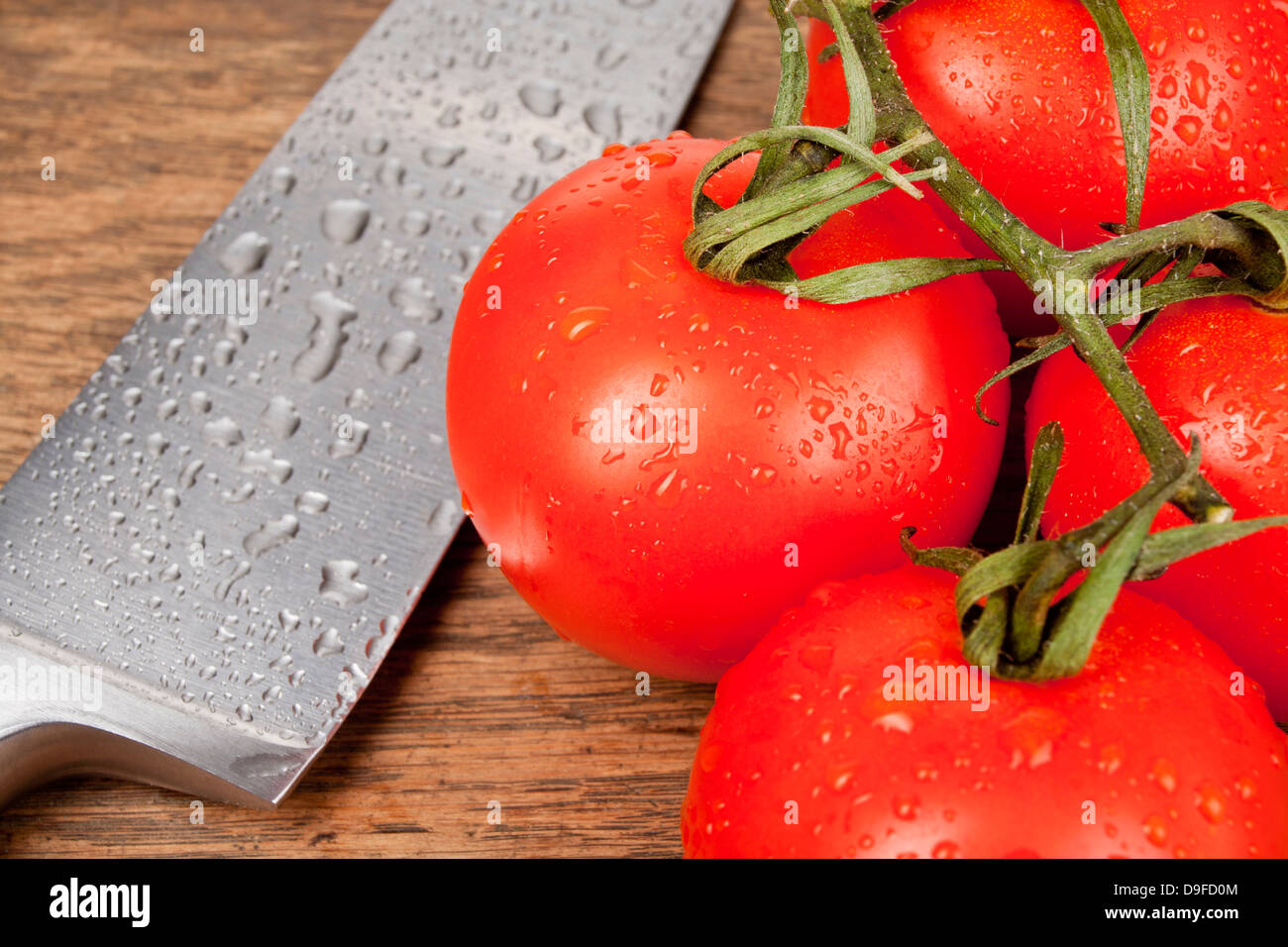 Shrub tomatoes with a knife Tomatoes with a knife Stock Photo