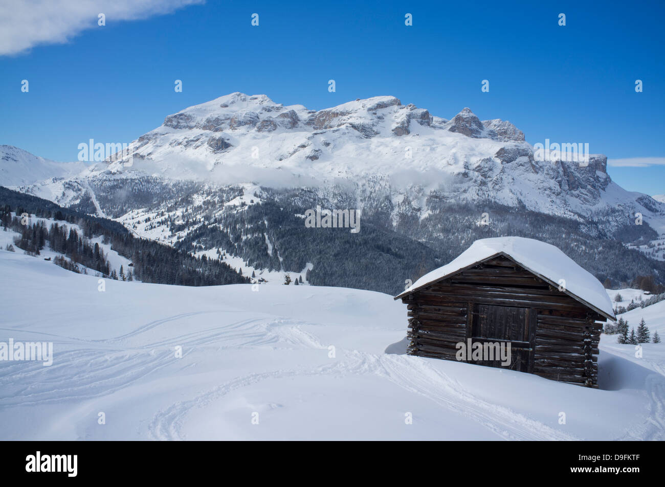 Barn at the Alta Badia ski resort with Lavarella and Contourines mountains in the background, Dolomites, South Tyrol, Italy Stock Photo