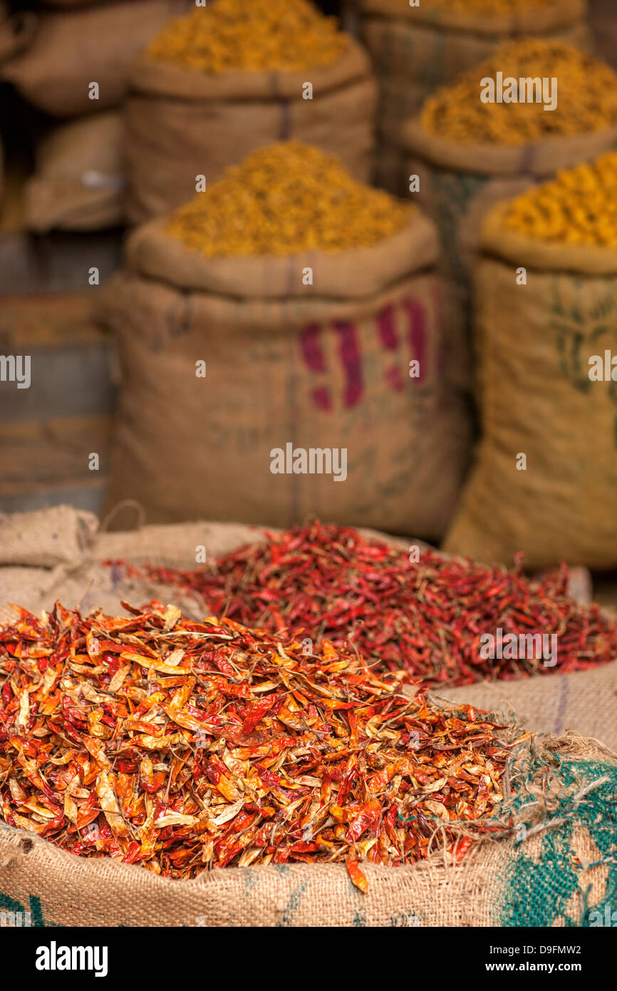 India Chillies High Resolution Stock Photography and Images - Alamy