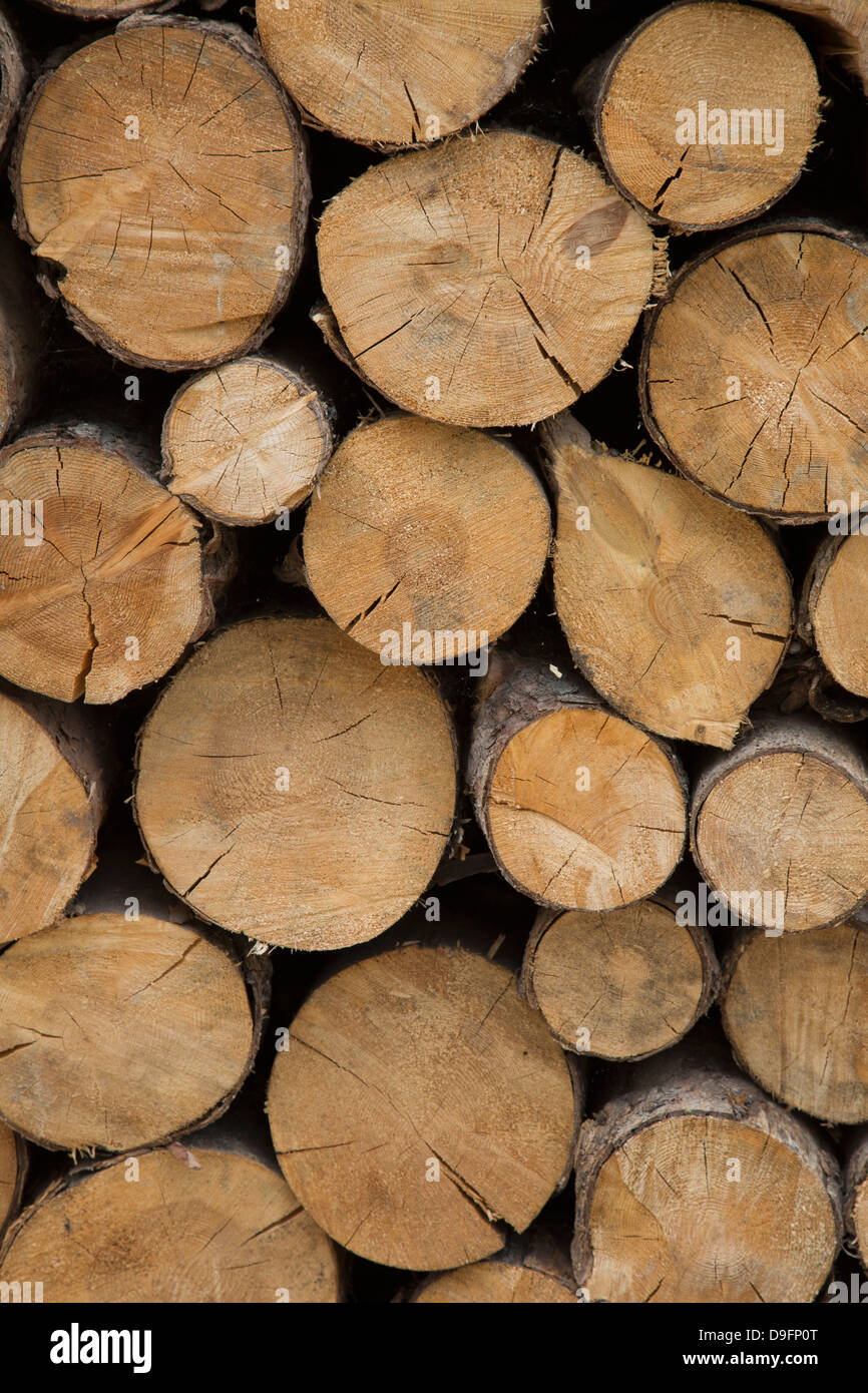 A log Pile in Canazei in the Dolomites, Italy Stock Photo