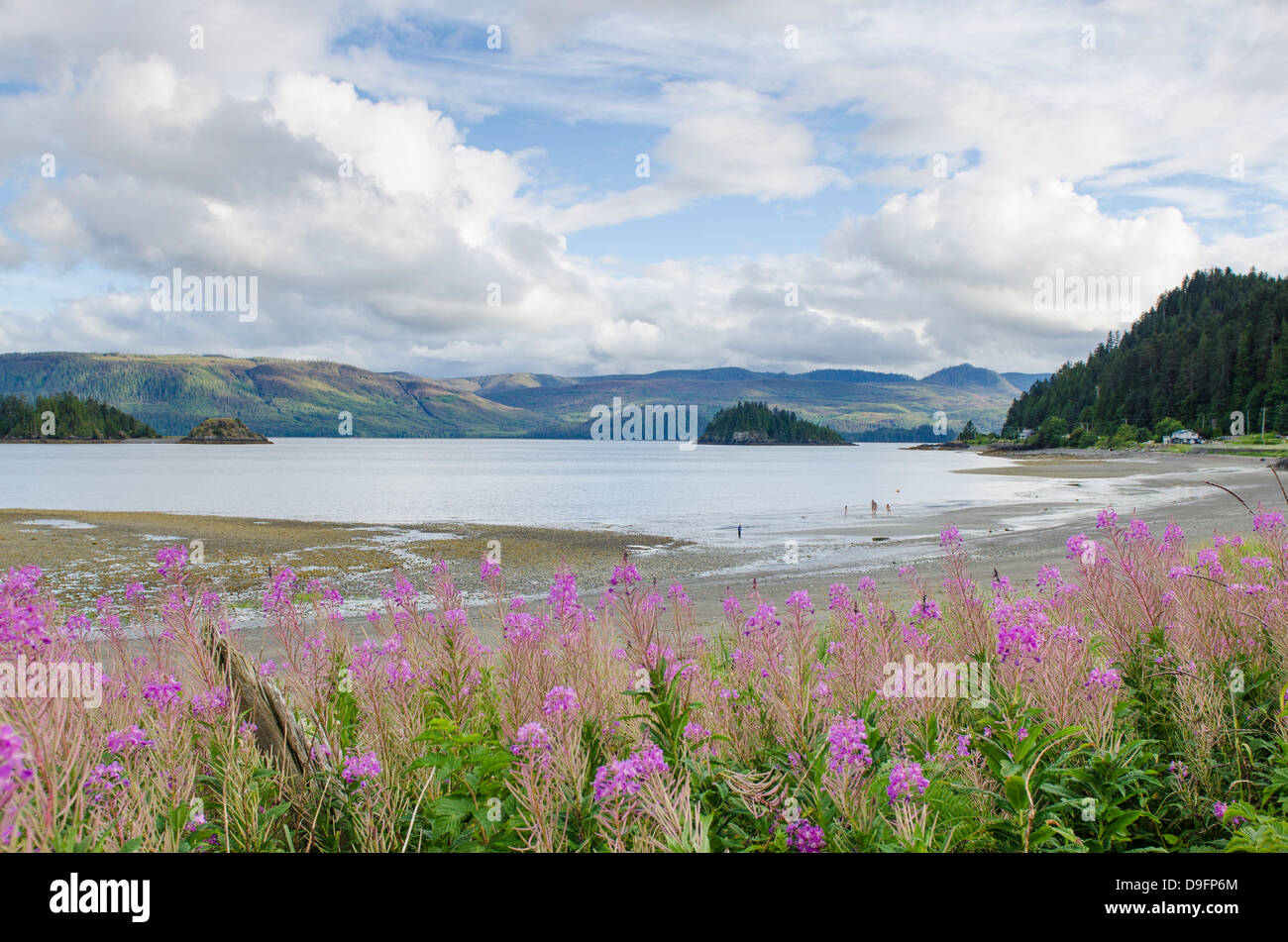Haida Gwaii (Queen Charlotte Islands), British Columbia, Canada Stock