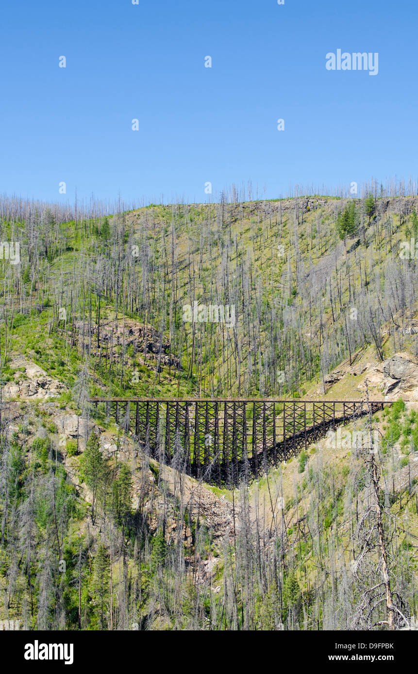 Old railway trestles in Myra Canyon, Kelowna, British Columbia, Canada Stock Photo