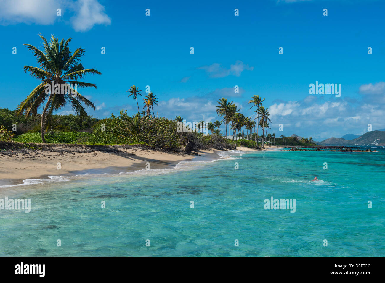 Beach at Long Haul Bay, Nevis Island, St. Kitts and Nevis, Leeward Islands, West Indies, Caribbean Stock Photo