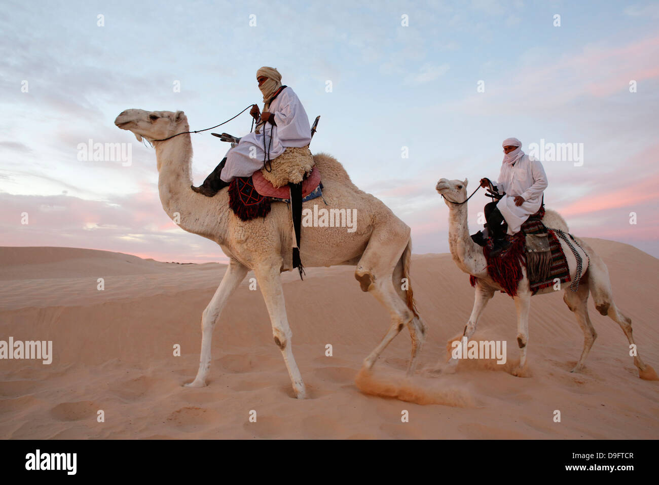 Dromedary riders in the Sahara, Douz, Kebili, Tunisia, Africa Stock Photo