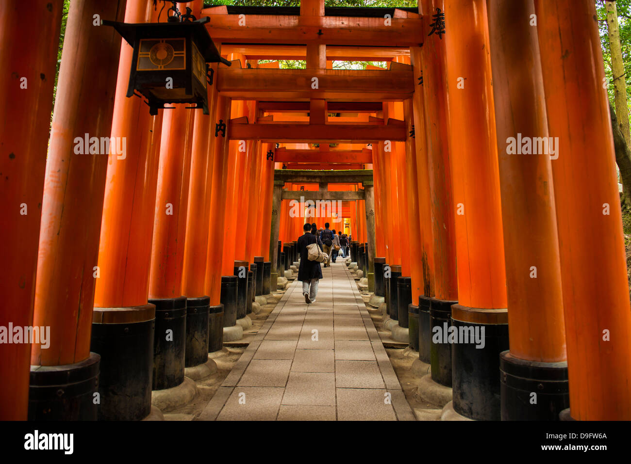 The Endless Red Gates of Kyoto's Fushimi Inari shrine, Kyoto, Japan