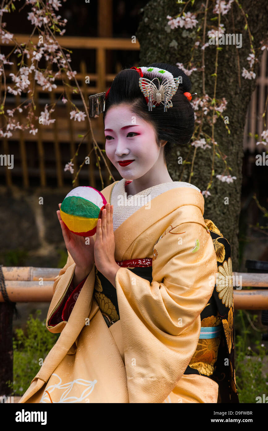 Real Geisha posing before a cherry blossom tree in the Geisha quarter of Gion in Kyoto, Japan Stock Photo