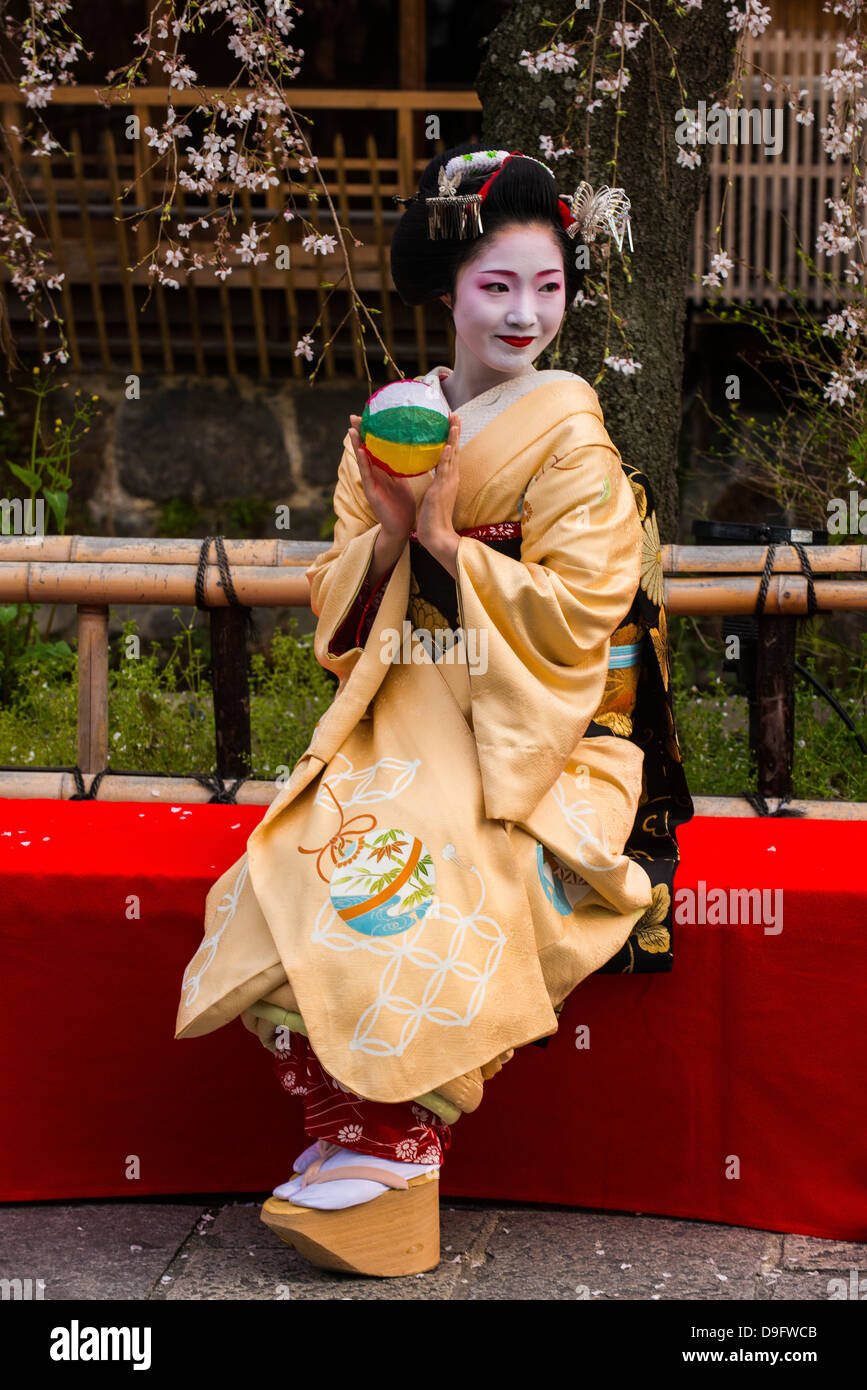 Real Geisha posing before a cherry blossom tree in the Geisha quarter of Gion in Kyoto, Japan Stock Photo