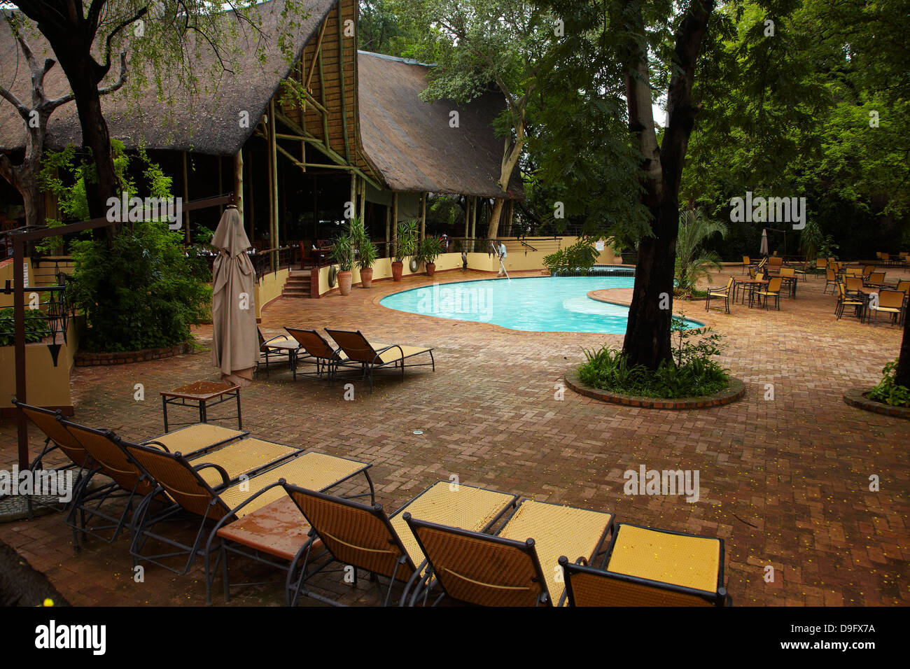 Swimming pool, Chobe Safari Lodge, Kasane, Botswana, Africa Stock Photo