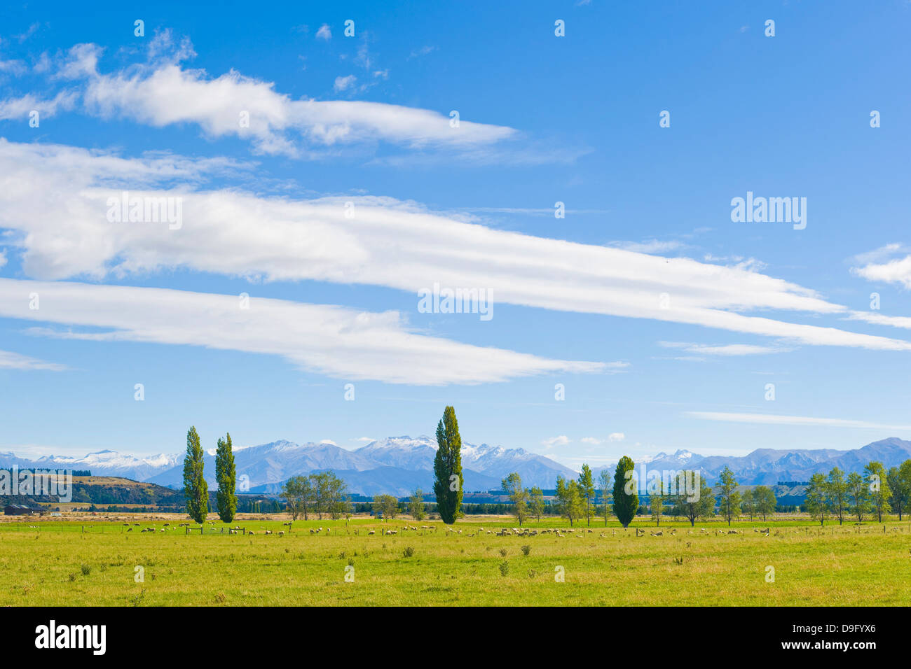 Countryside near Queenstown, Otago, South Island, New Zealand Stock Photo