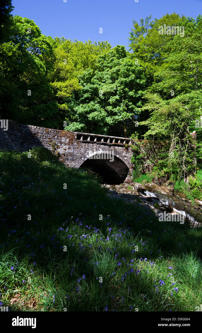 Bridge over the Shankhill River shortly before in joins the River Liffey, Near Clogleagh, County Wicklow, Ireland Stock Photo