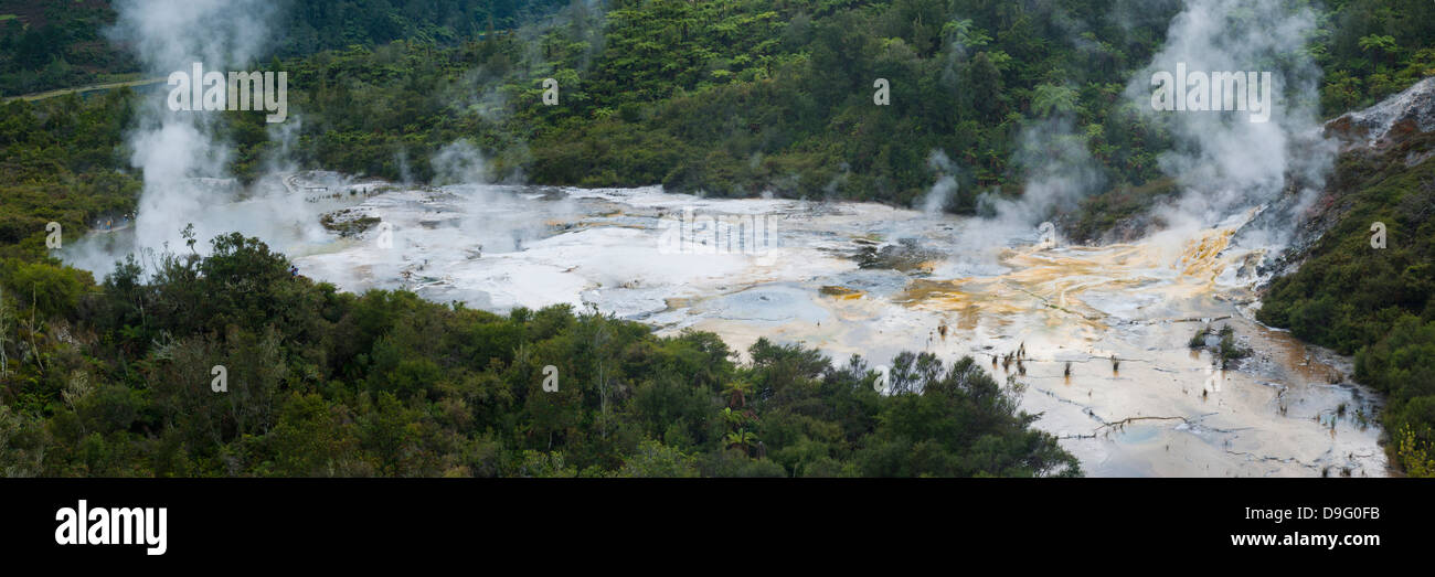 Steaming geothermal area at Orakei Korako Thermal Park, The Hidden Valley, North Island, New Zealand Stock Photo