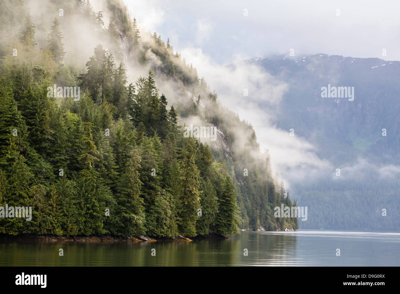 Fog-shrouded forest near Juneau, Southeast Alaska, USA Stock Photo