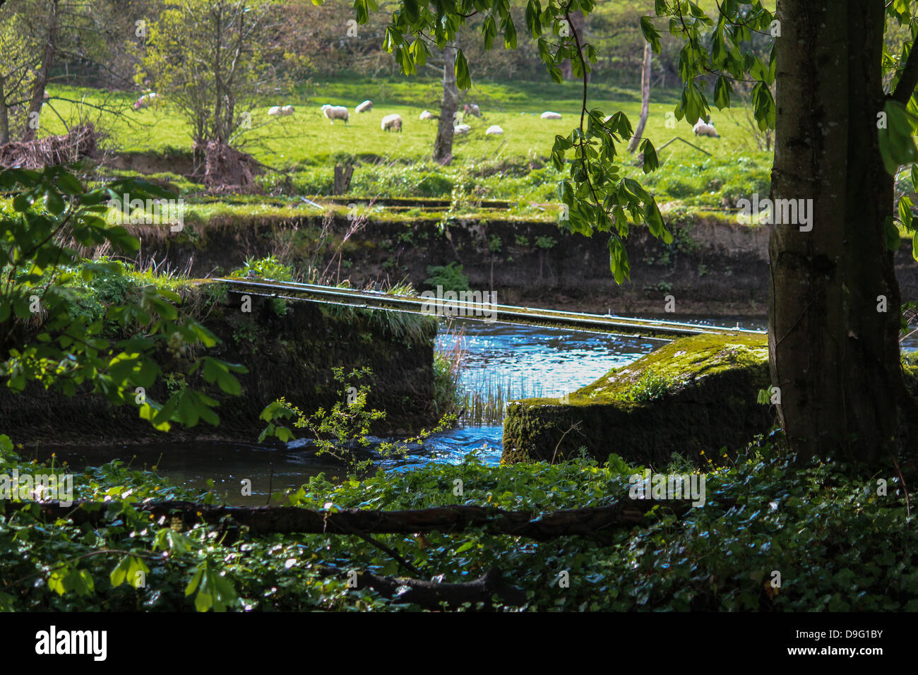 Pictured is a small footpath placed over the river Boyne. Stock Photo