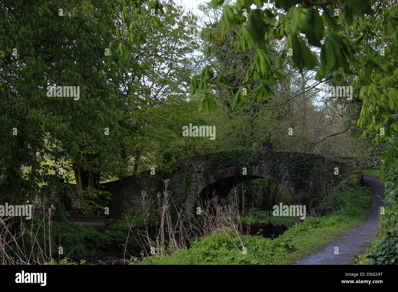 Pictured is a small bridge near the museum of Battle of the Boyne. Stock Photo