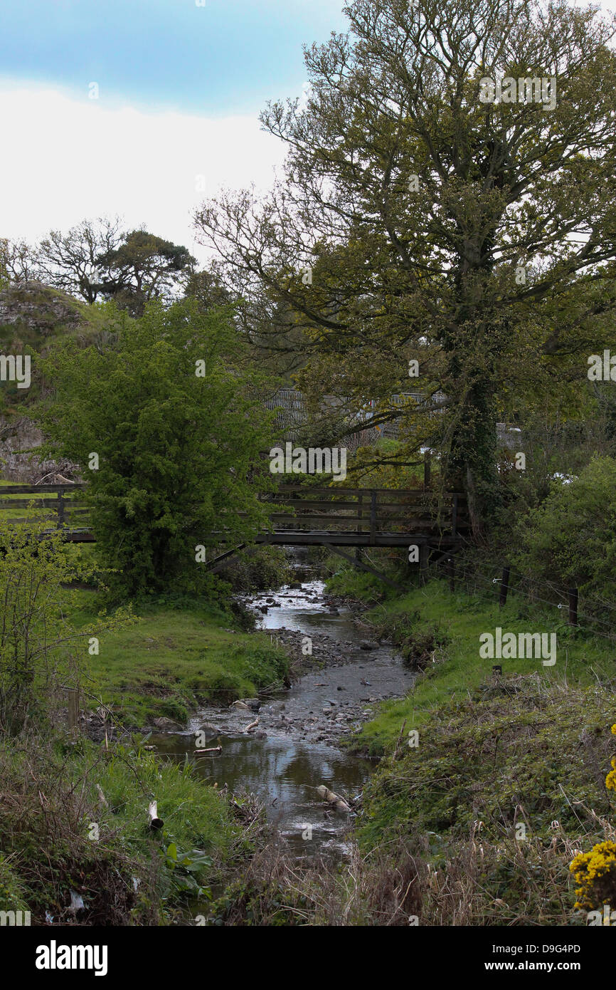 Pictured is a stream close to the Oldbridge, Drogheda. Stock Photo