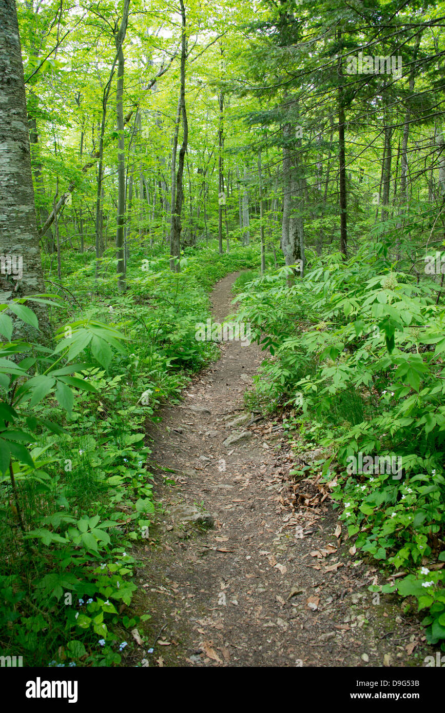 Michigan, Mackinac. Mackinac Island State Park trail system through the