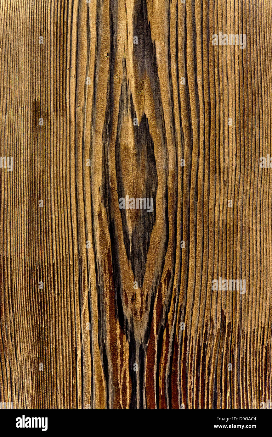 Wood grain Stock Photo Alamy