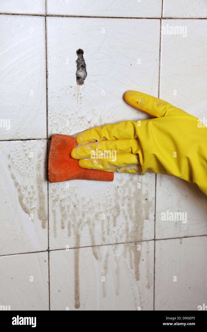 gloved hand cleaning dirty old tiles with sponge in a bathroom Stock ...