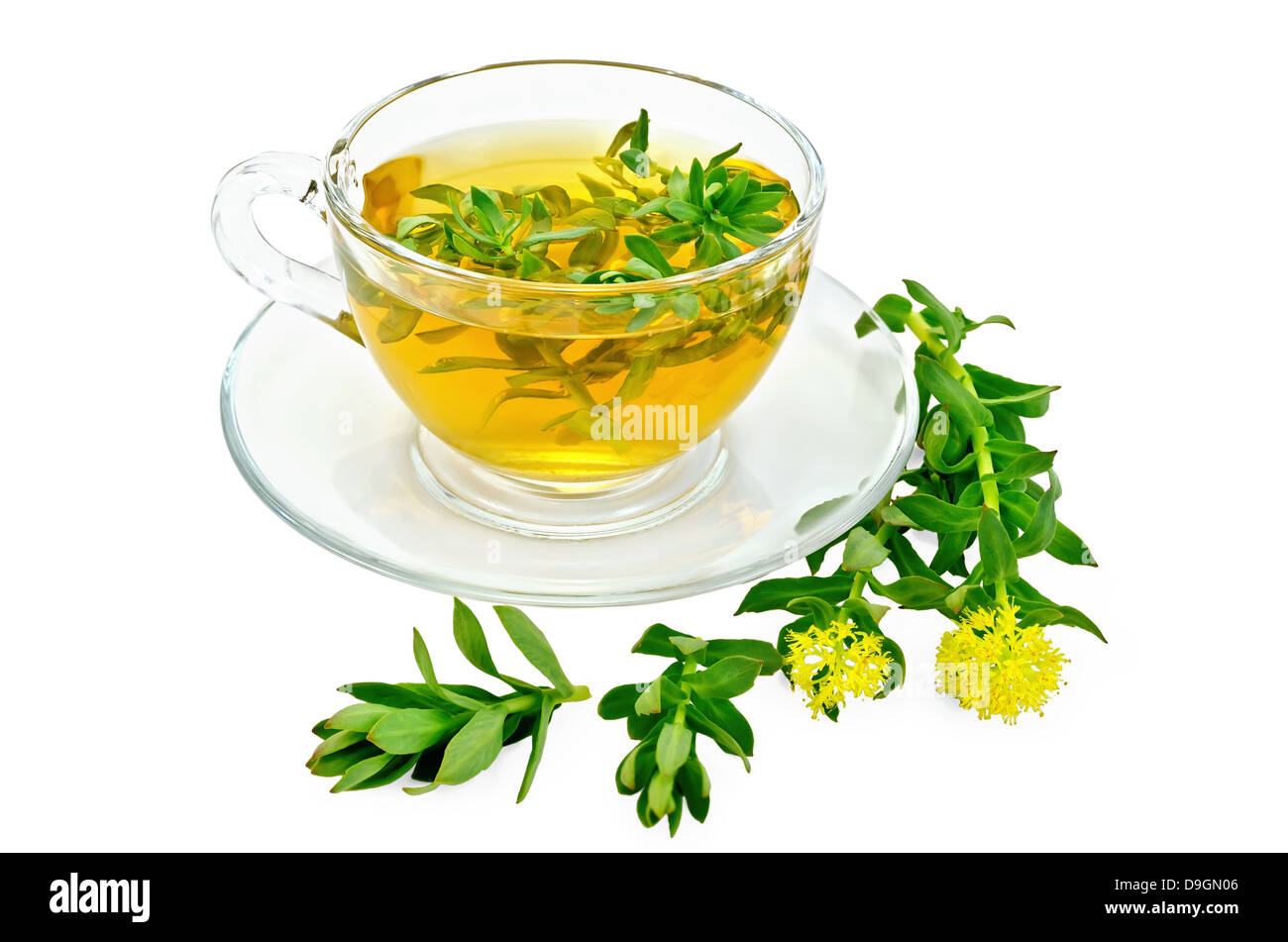 Healing herbal tea in glass cup with flowers Rhodiola rosea is isolated on a white background Stock Photo