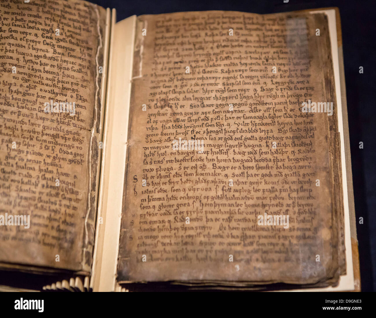 Pages of medieval manuscripts dated back to the 13th century.  The Cultural House (Thjodmenningarhusid) Reykjavik, Iceland . Stock Photo