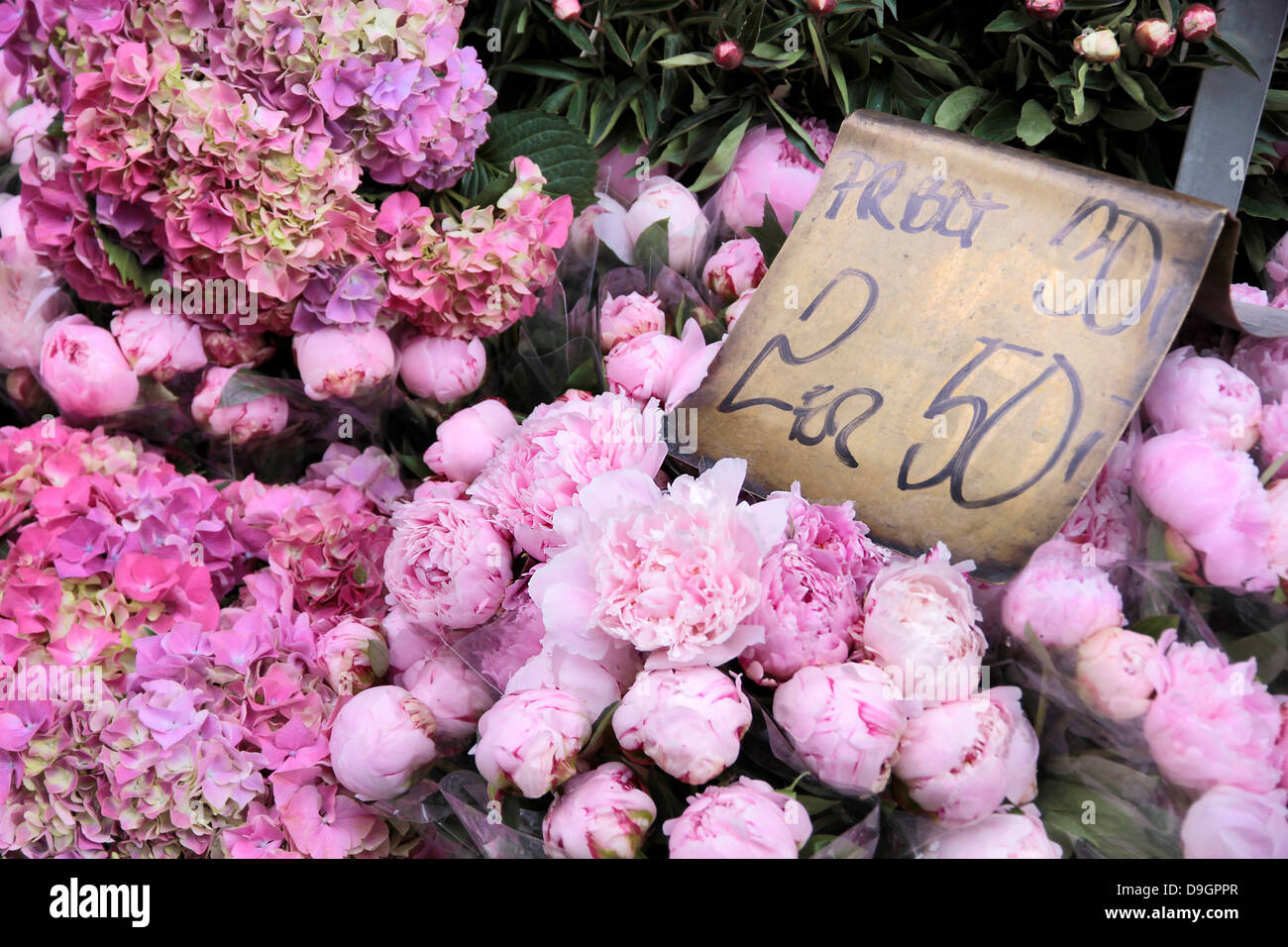 Pink flowers in a flower shop in the center of Copenhagen, Denmark Stock Photo