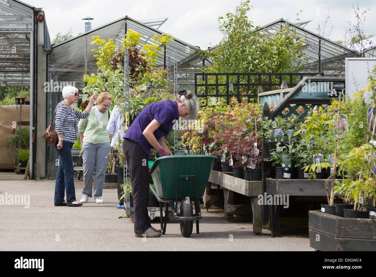 Garden centre worker hi-res stock photography and images - Alamy