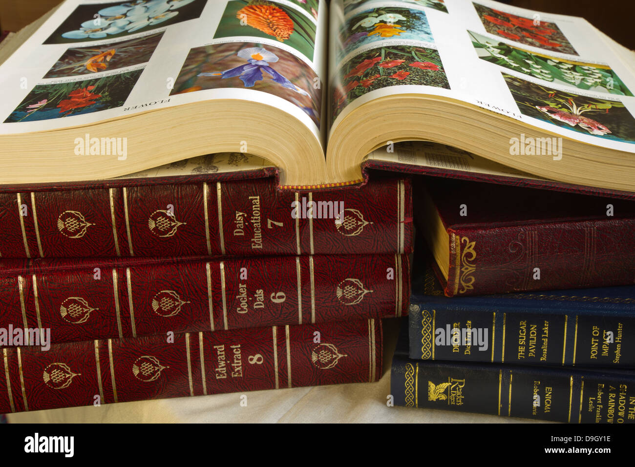 Books, leather bound, reference, encyclopedia, encyclopedias, botany Stock Photo