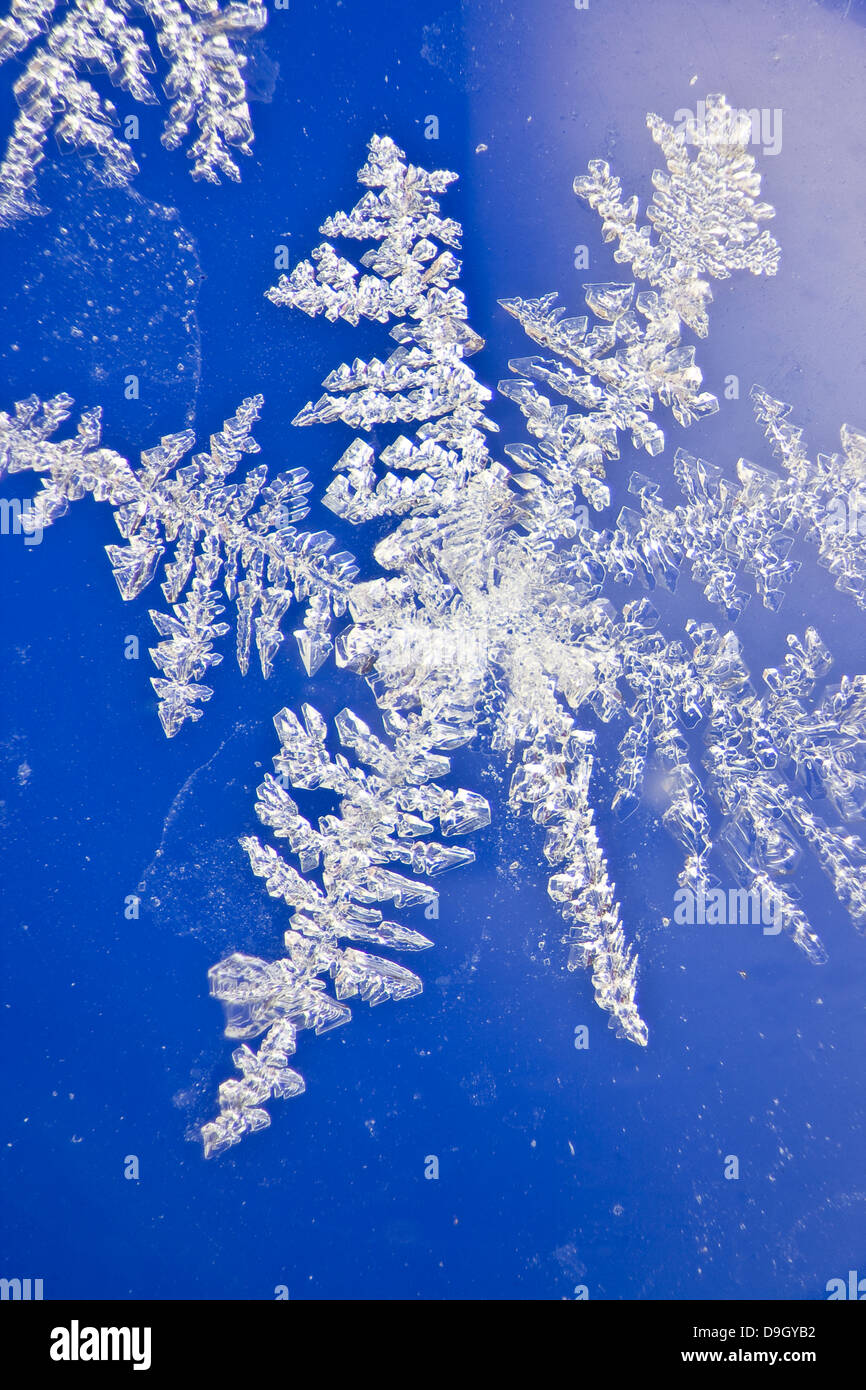ice crystal on window glass with blue background Stock Photo