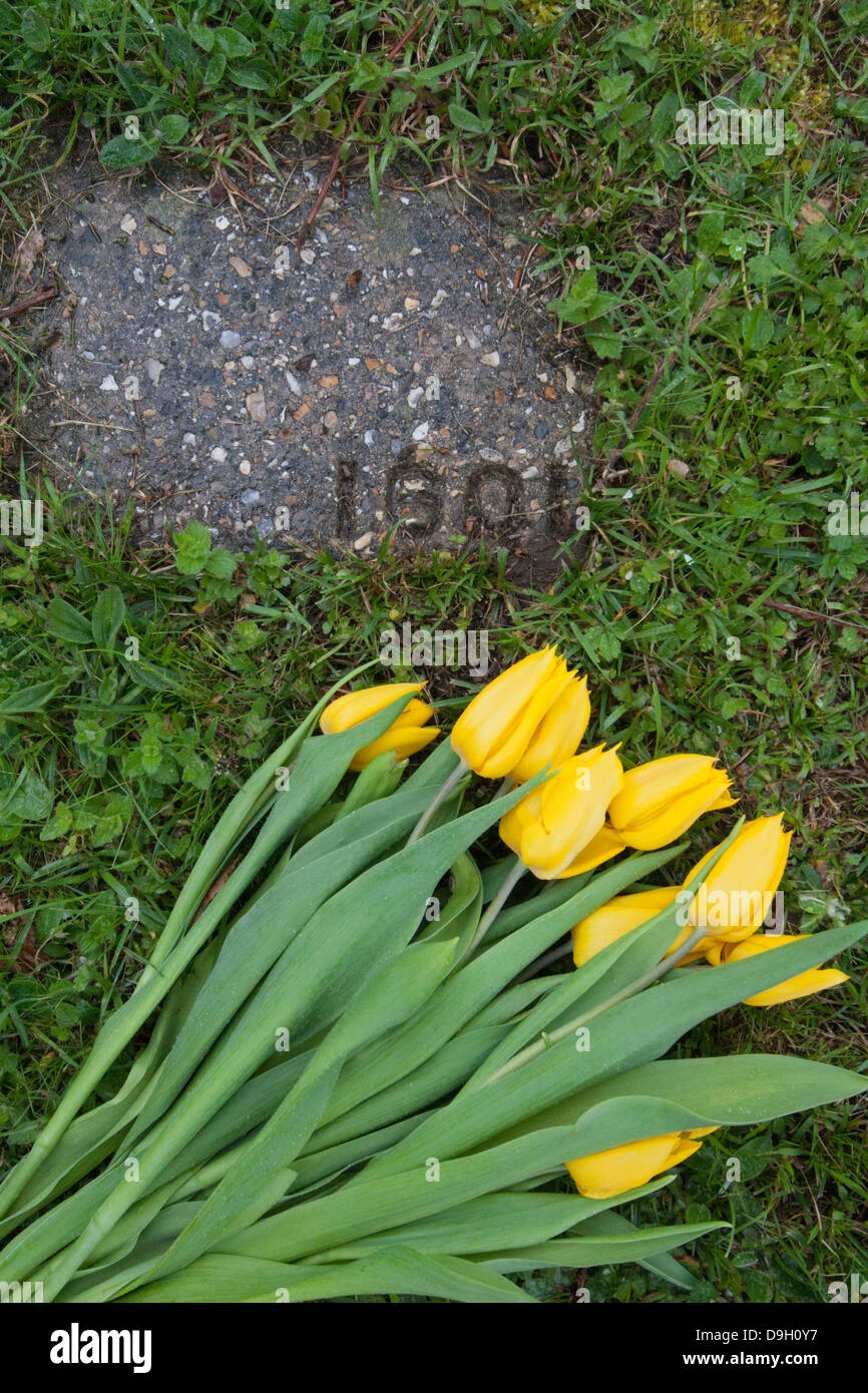 Tulips placed on a numbered but otherwise unmarked grave in cemetery Stock Photo