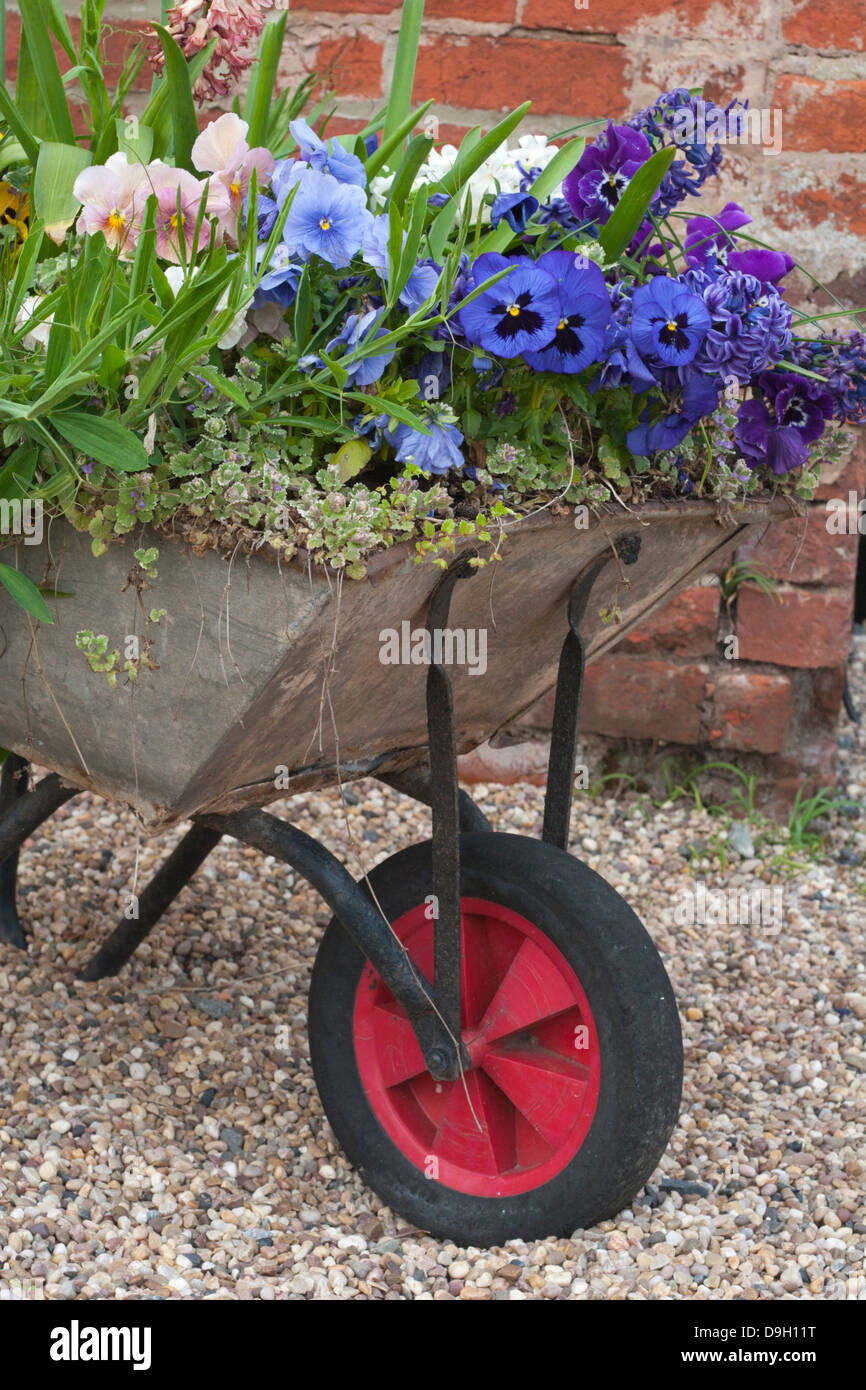 Wheelbarrow flower garden Stock Photo Alamy