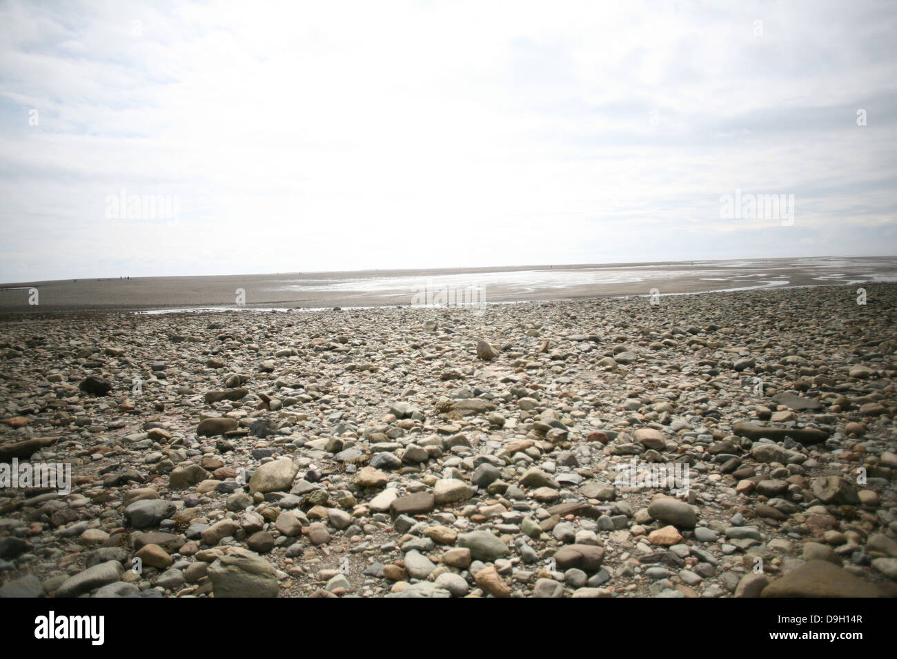 The Bay of Fundy at low tide in Alma, New Brunswick Stock Photo Alamy