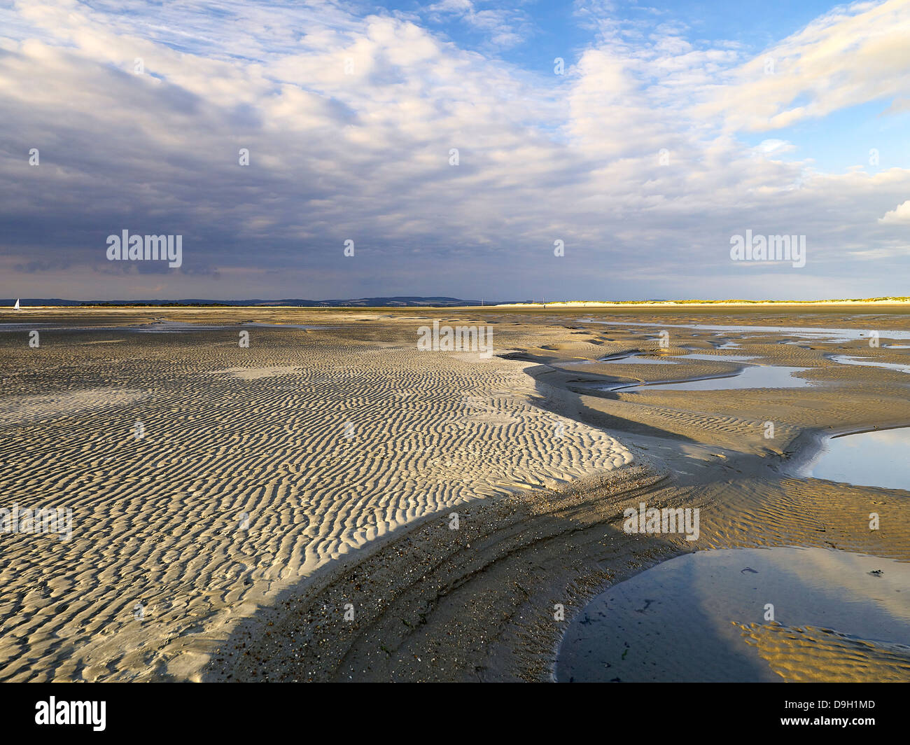 Water pools at low tide Stock Photo