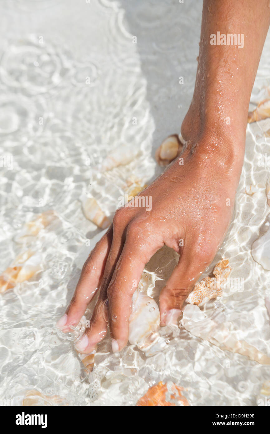 Woman picking seashell on the beach Stock Photo - Alamy