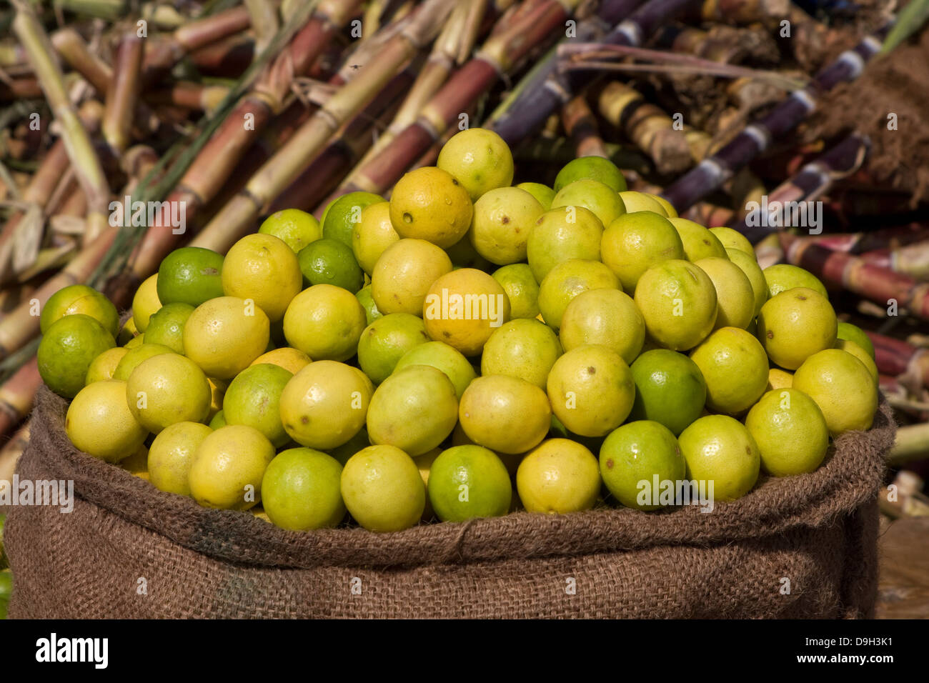 Asia, India, Karnataka, Mysore, Devaraja Market, lime Stock Photo