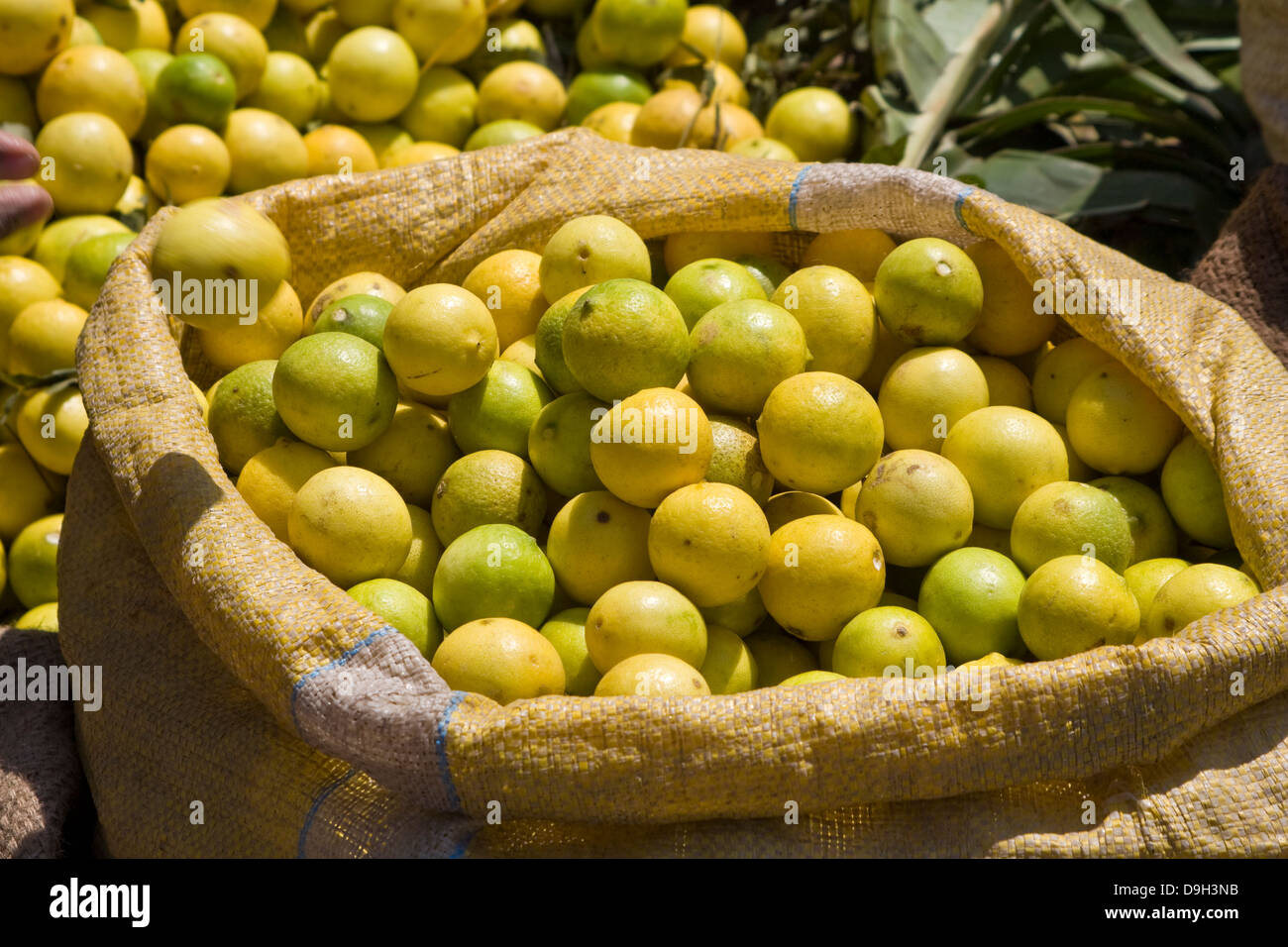 Asia, India, Karnataka, Mysore, Devaraja Market, lime Stock Photo