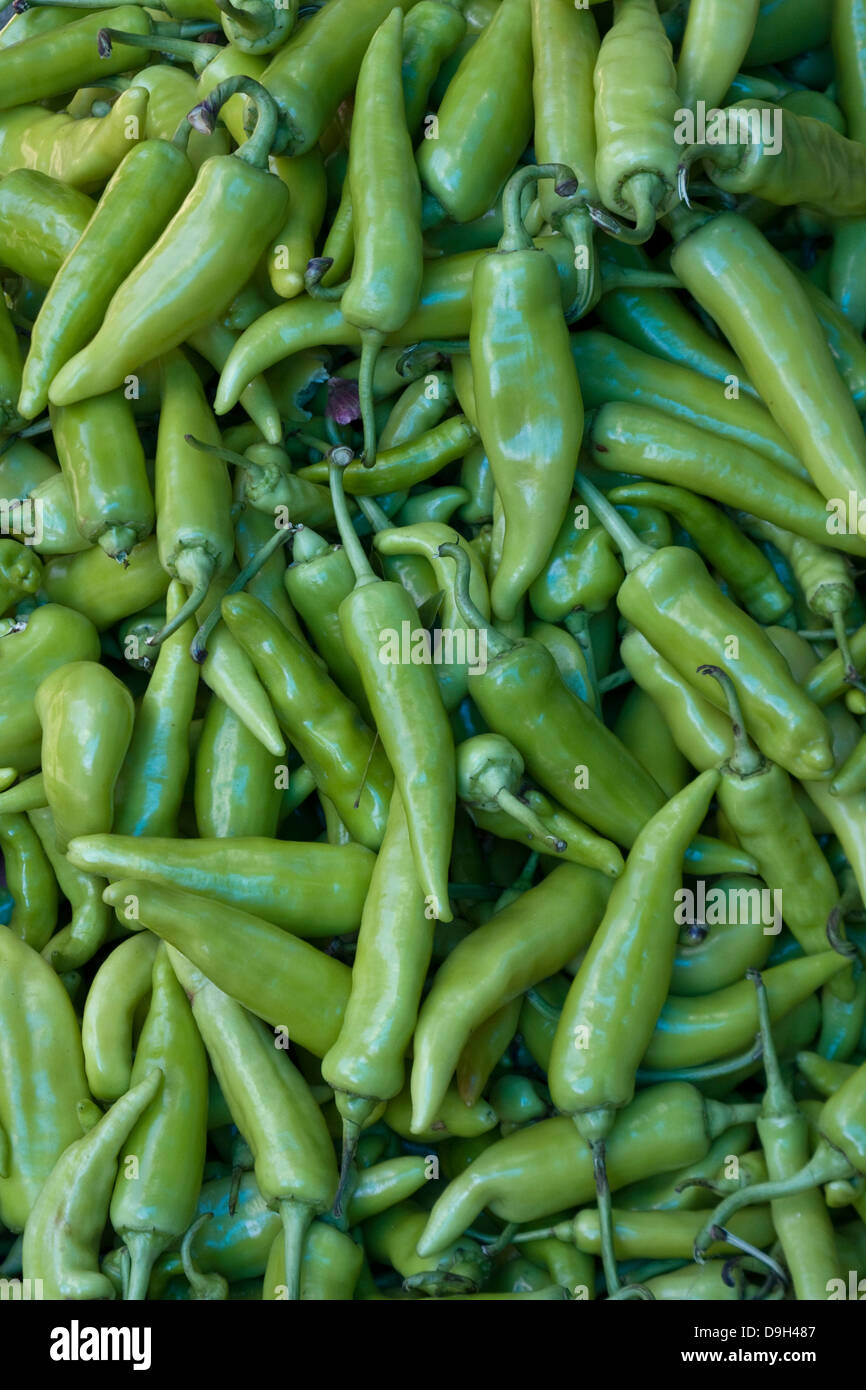 Plant full of chillies hi-res stock photography and images - Alamy