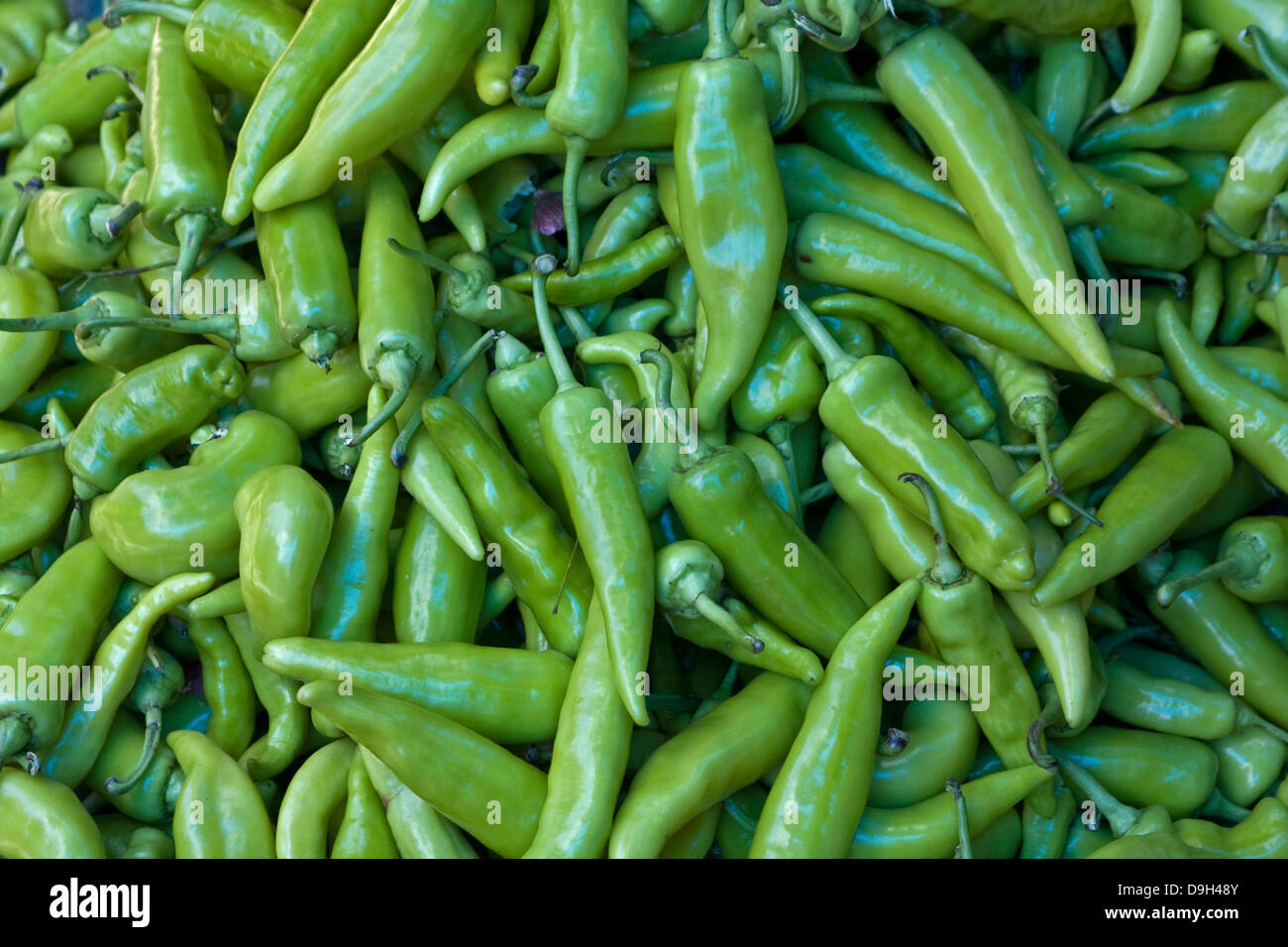 Capsicum Annuum India High Resolution Stock Photography and Images - Alamy