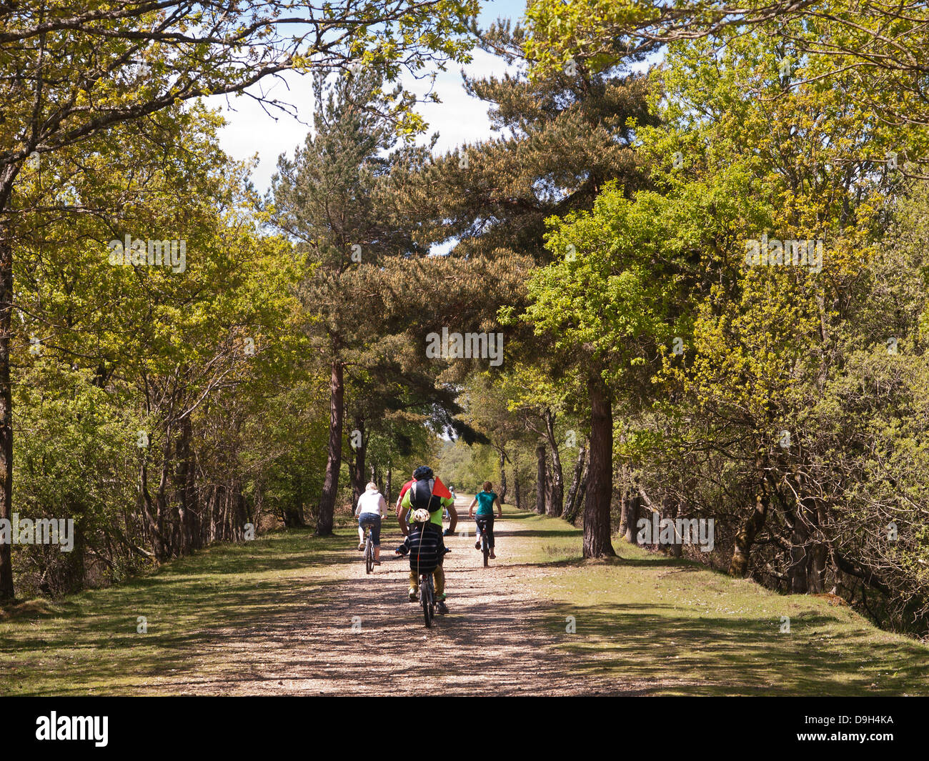 new forest old railway cycle route