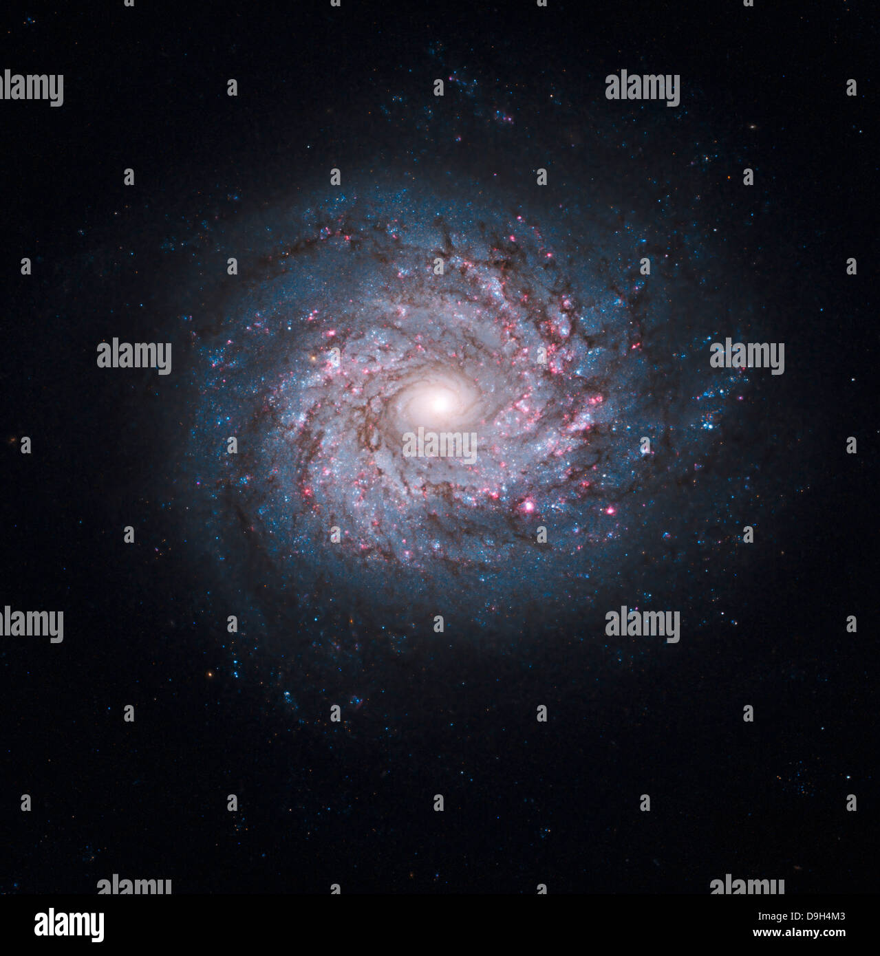 Face-on spiral galaxy NGC 3982. Stock Photo