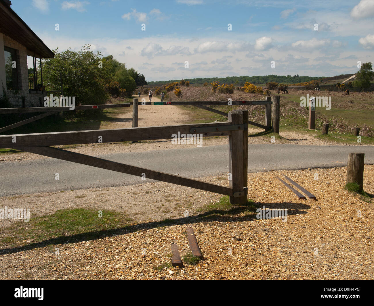 new forest old railway cycle route