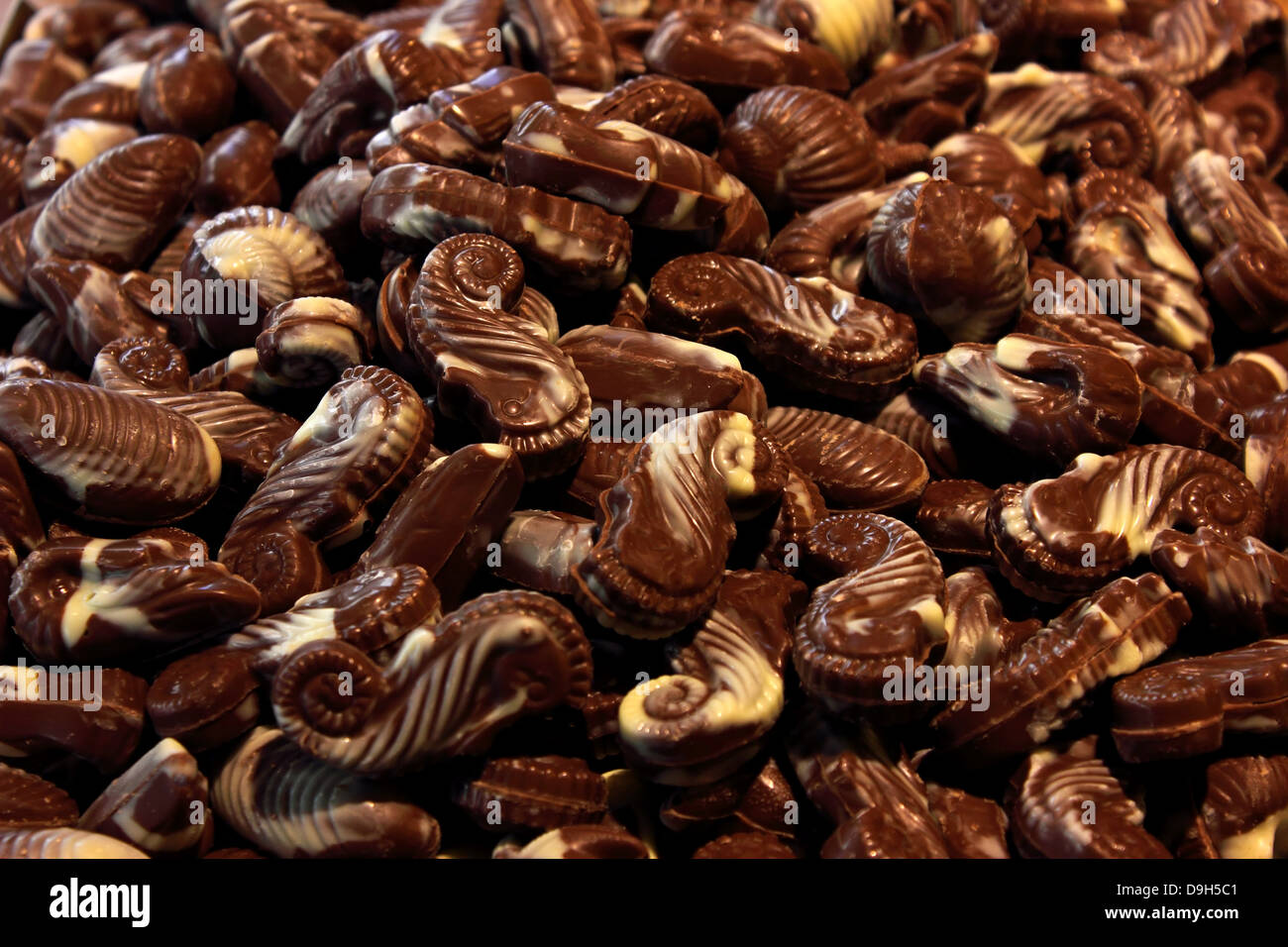 Belgium chocolate theme - sea creatures from chocolate in a choco shop. Stock Photo