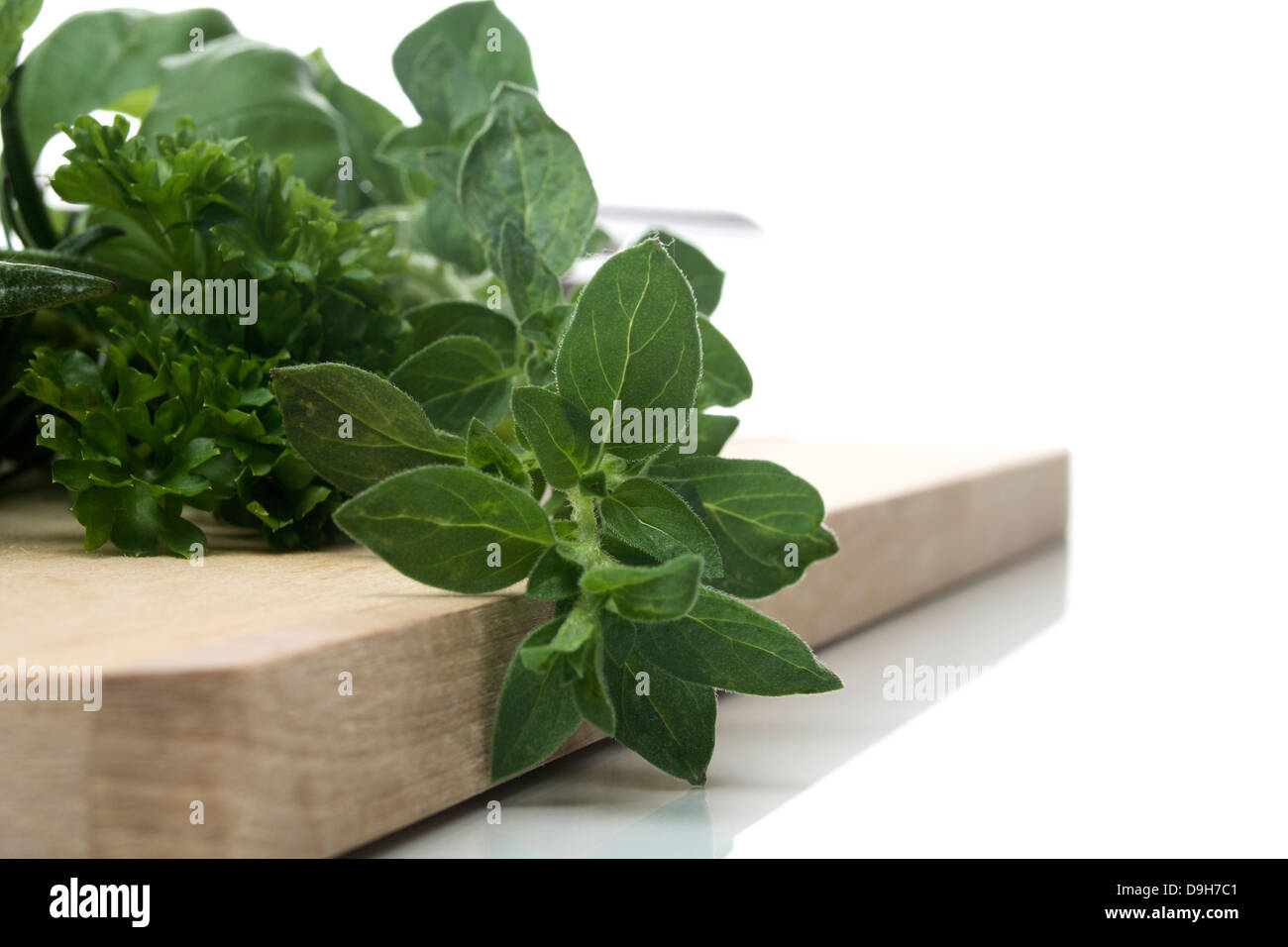 Culinary board with herbs Stock Photo