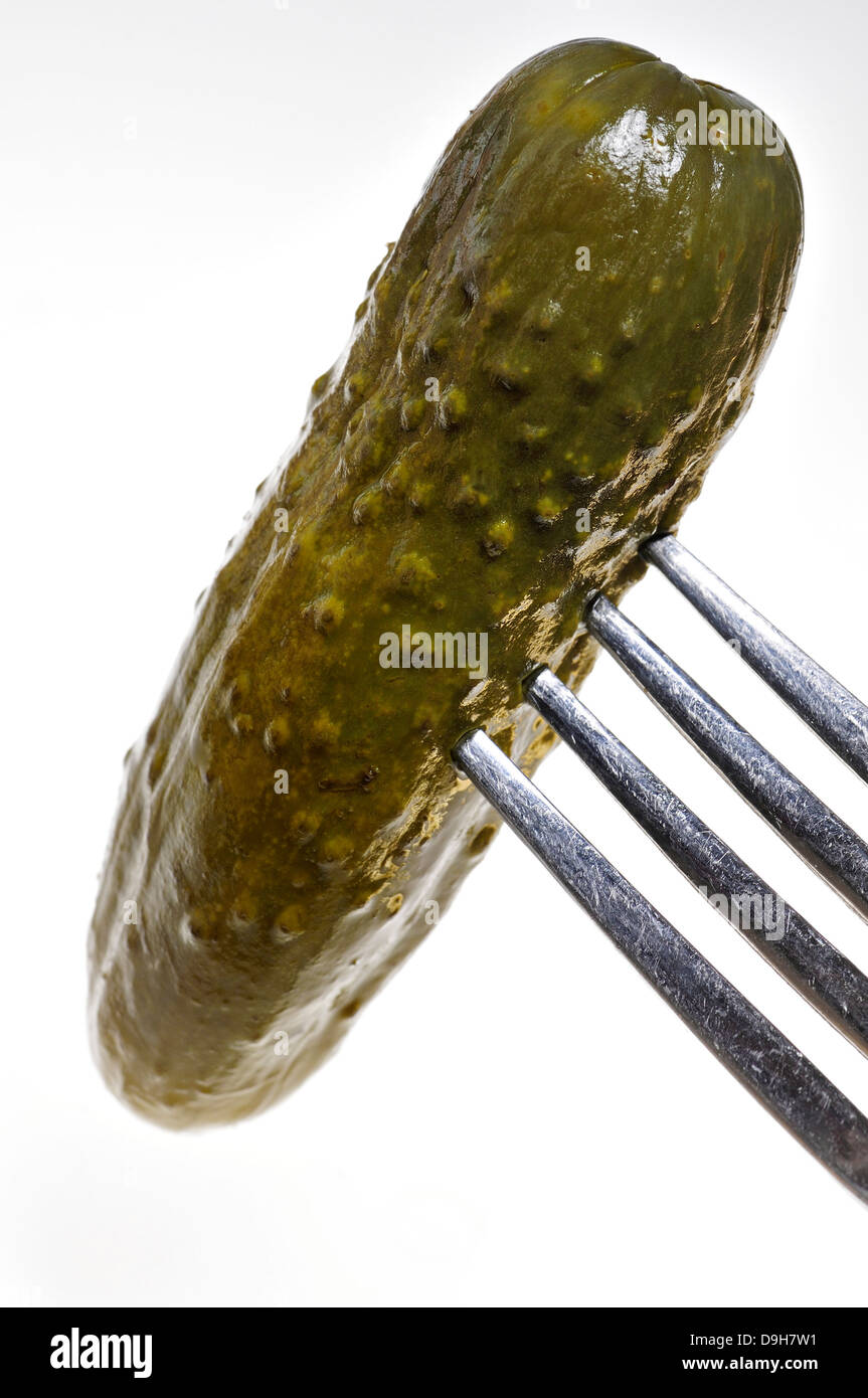 Pickled gherkin on a fork Stock Photo